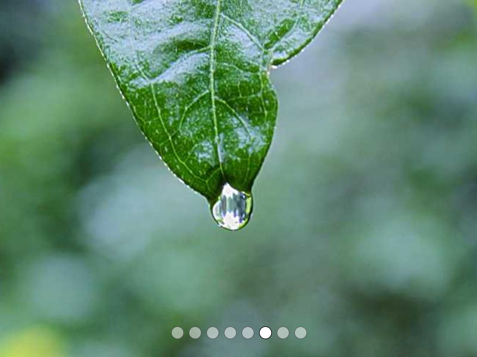 Image gallery with navigation