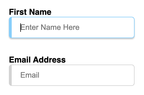 Basic form with name and email and name focused
